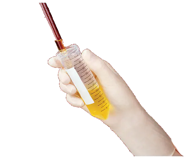 Tubo cónico 15mL
